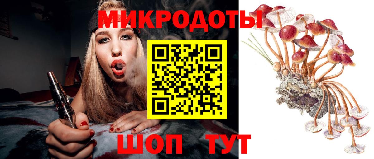 Выборг  Галлюциногенные грибы Magic Shrooms  Вход с VPN 